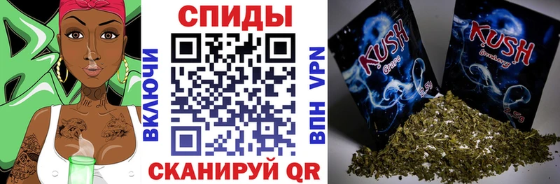 что такое наркотик  Западная Двина  БУТИРАТ BDO 33% 