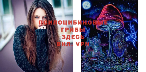 PSILOCYBIN Надым